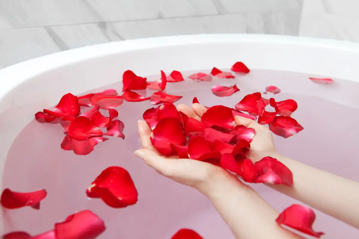 How to Use Rose Petals for Witchcraft: Enchanting Rituals and Spells ...