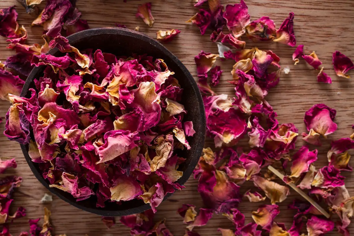 How to Use Rose Petals for Witchcraft: Enchanting Rituals and Spells ...