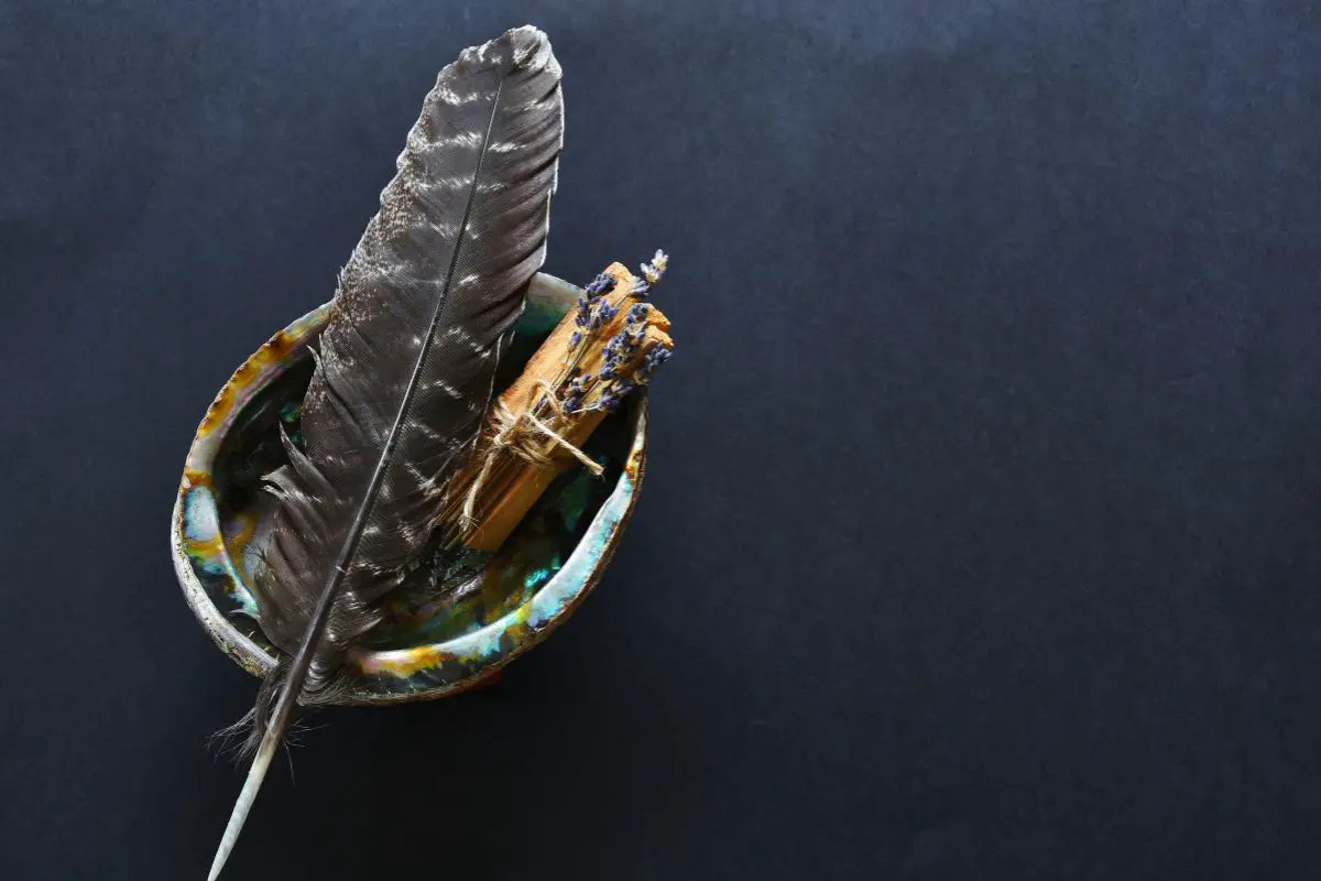 What is a Smudging Feather Your Guide to Purification Rituals
