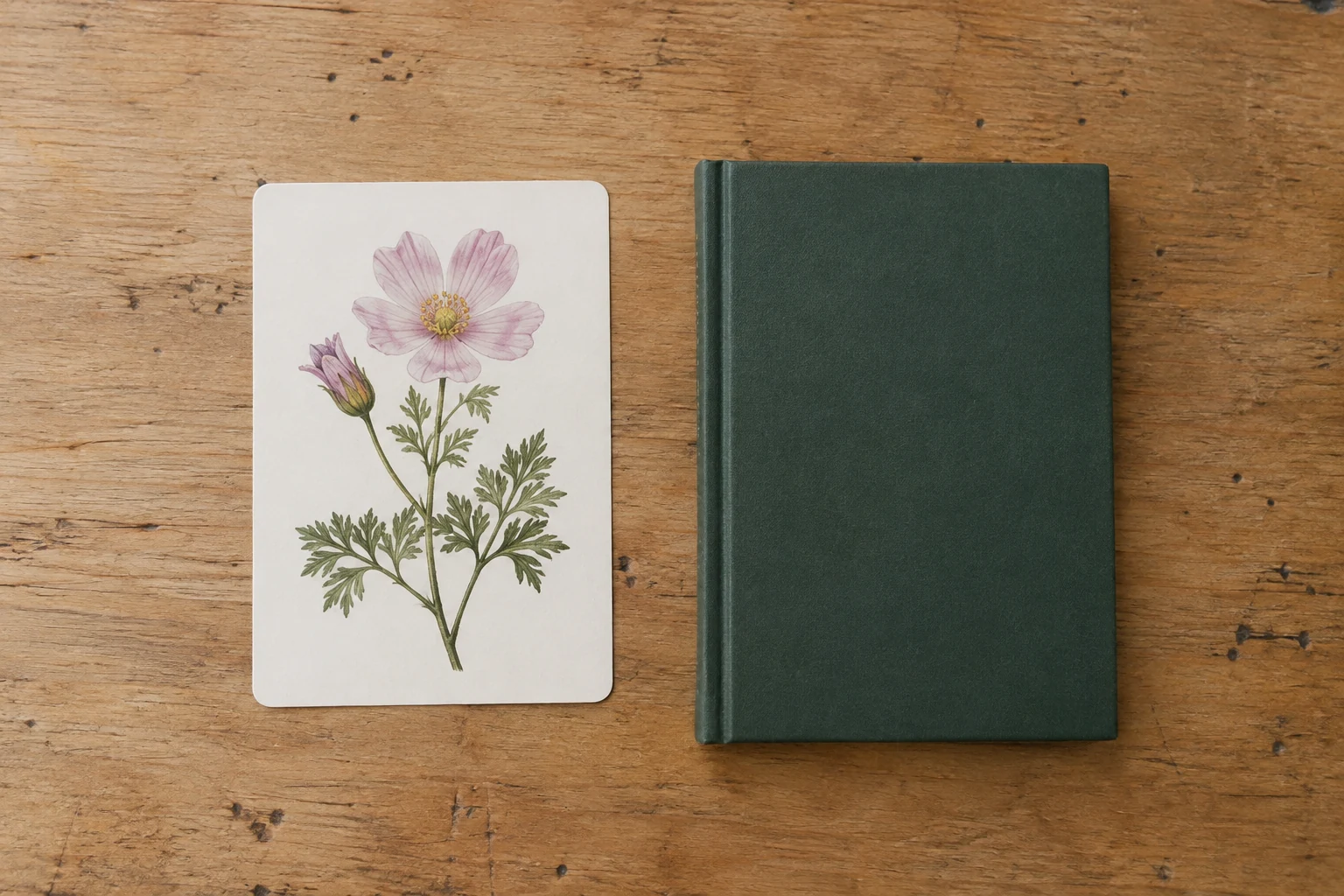 A botanical illustrated card lies face up beside a closed booklet.