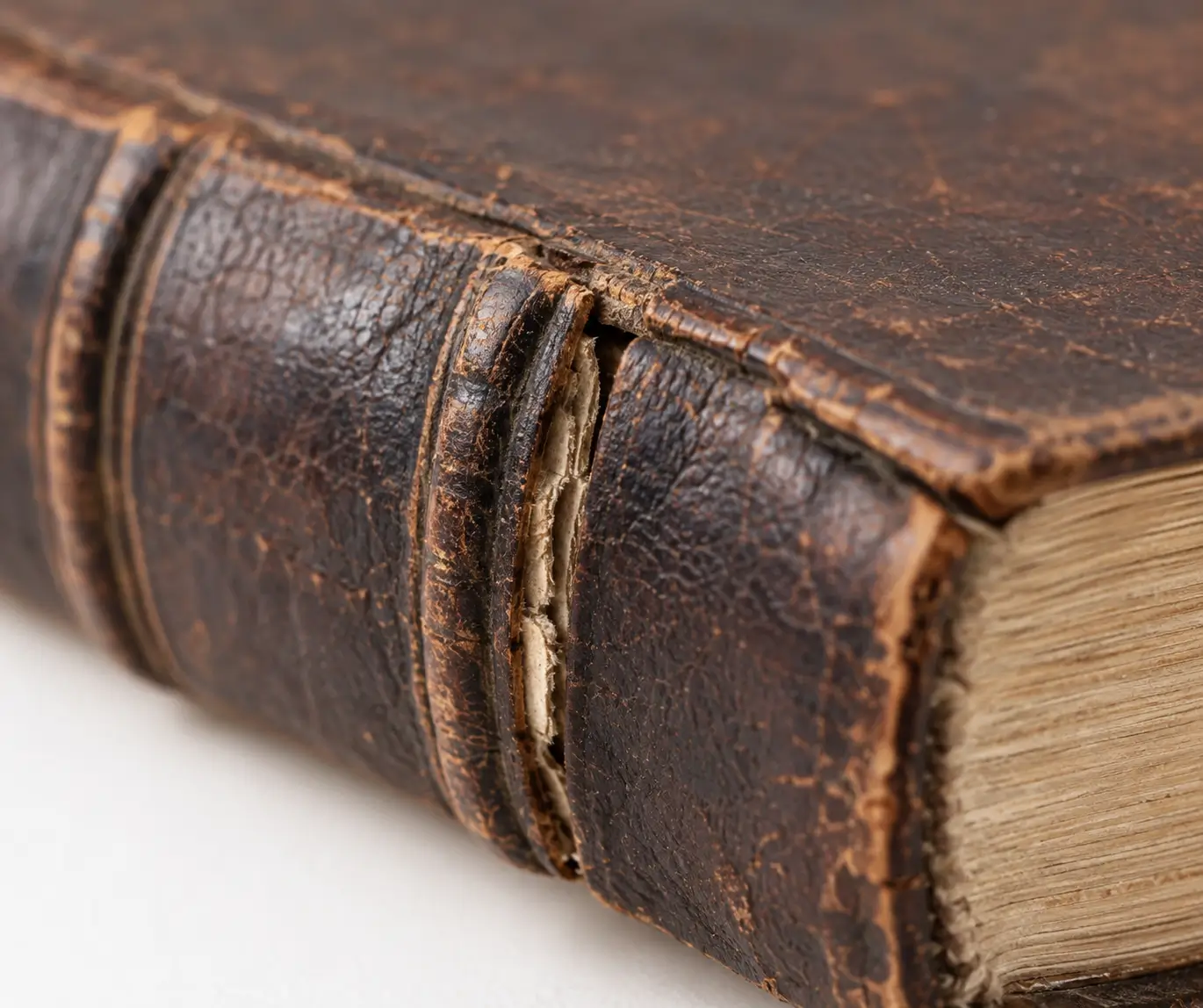 Close view of a leather journal with separation along the joint beside the spine.