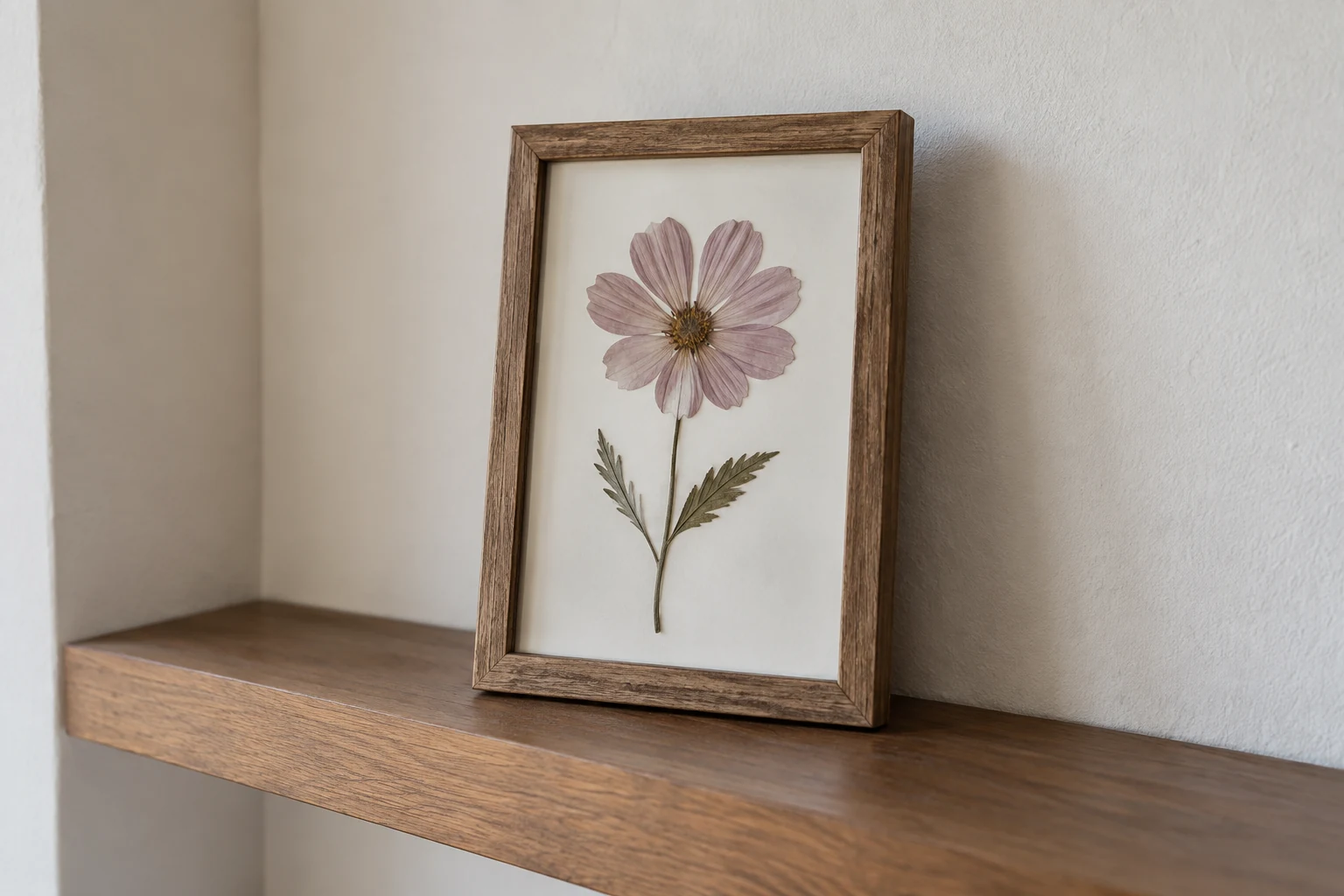 A framed pressed flower resting on a household shelf.