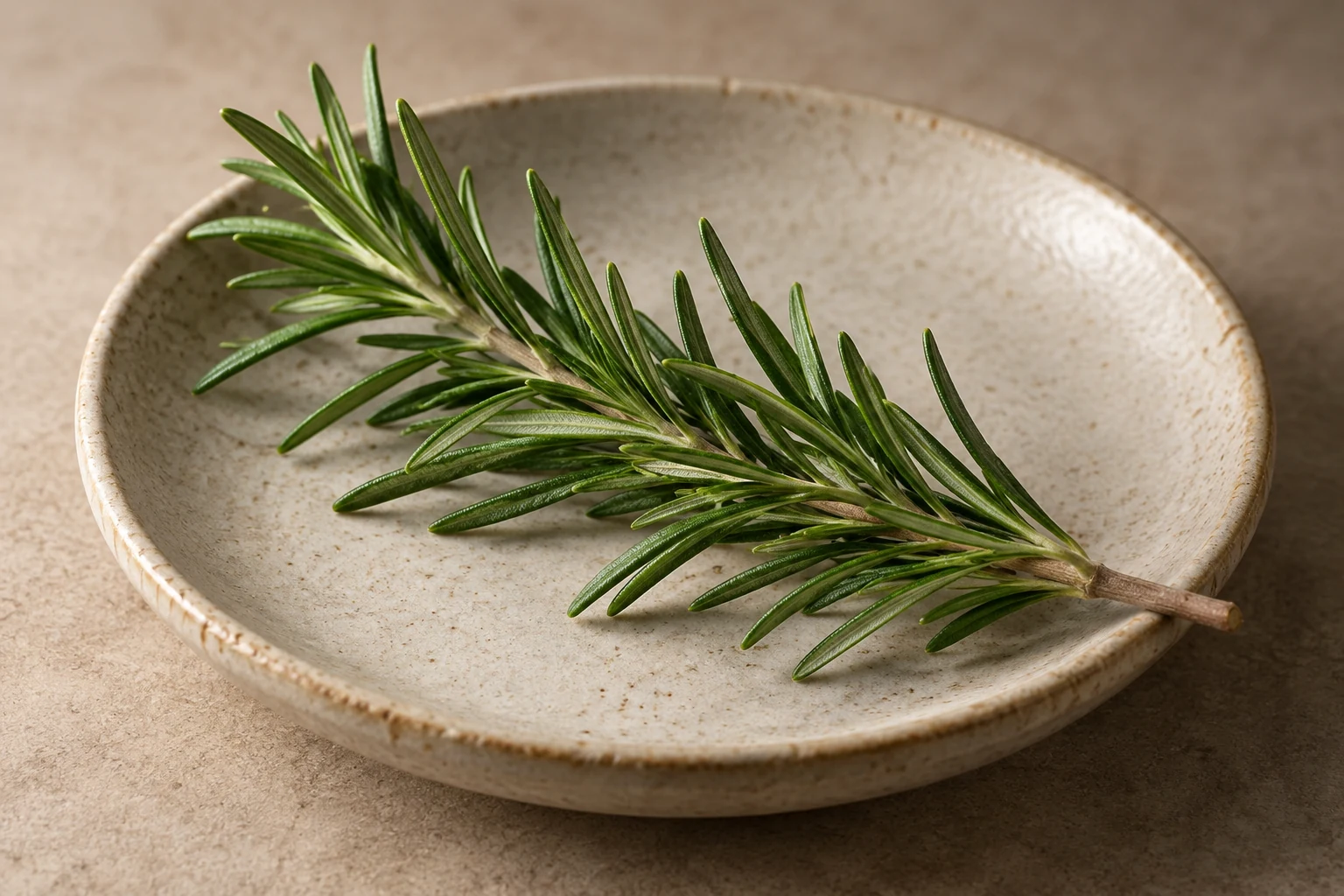 A cut rosemary sprig resting on a shallow ceramic dish.